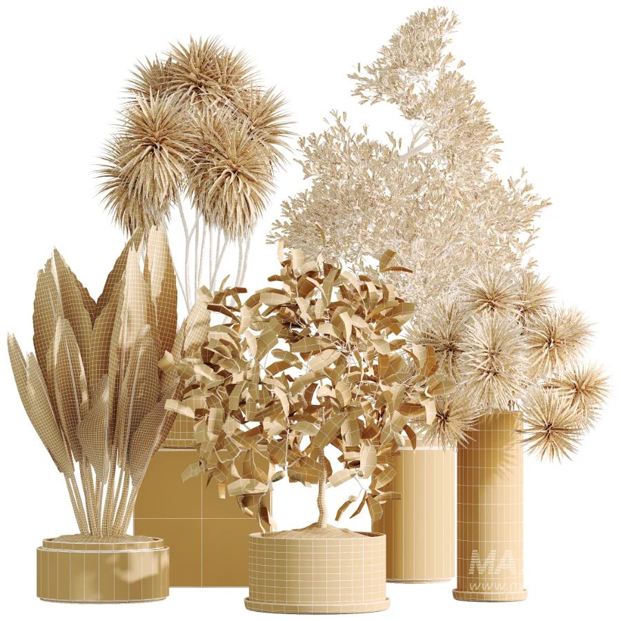 AV Indoor Plants Set 510 Yucca Briful Pachira Banana Olive - Image 9