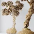 AV Indoor Plants Set 518 Banana Lemon Dragon Areca Palm Schefflera Ficus Bonsai - Thumbnail 6
