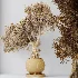 AV Indoor Plants Set 521 Yucca ParadiseBird Ficus Microcarpa Bonsai Marginata - Thumbnail 11