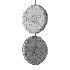 Bert Frank Beran Vertical Chandelier - Thumbnail 5
