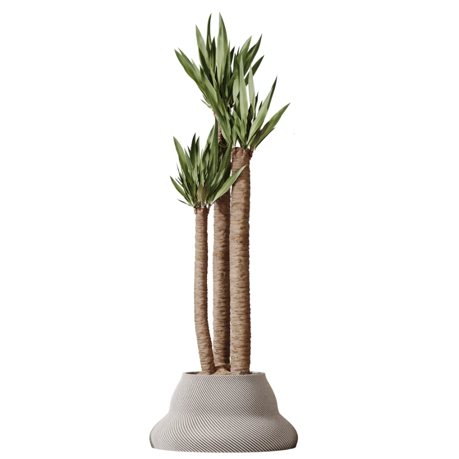AV Indoor Plants Set 512 Olive Orange Tree Banana Cactus Echinocactus Yucca - Image 2
