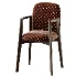 Siloe PW Armchair by Frag - Thumbnail 6