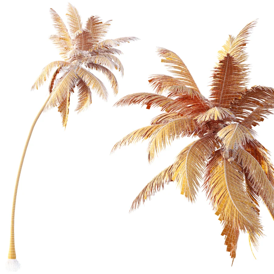 AV Plant Cocos Nucifera Palm Tree 02 - Image 7