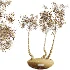 AV Indoor Plants Set 528 Rhapis Palm Ficus Marginata Banana African Fig - Thumbnail 10