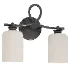 Looped Arm Vanity Light - Thumbnail 3