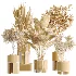 AV Indoor Plants Set 508 Yucca Ficus microcarpa Calathea Lutea Sansevieria Olive - Thumbnail 7