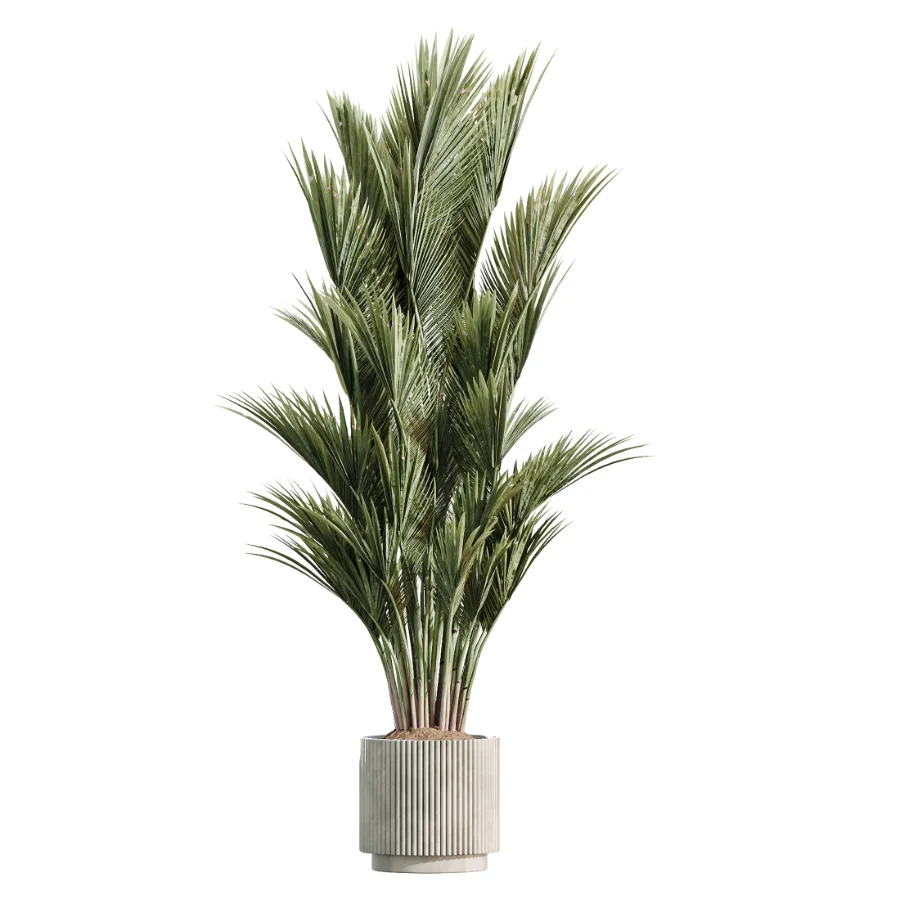 AV Indoor Plants Set 513 Aloe Vera Elegant Monstera Alnus Ficus Areca Palm - Image 1