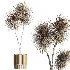 AV Indoor Plants Set 516 Licuala Palm Ficus Marginata Yucca and Olive Ficus - Thumbnail 7