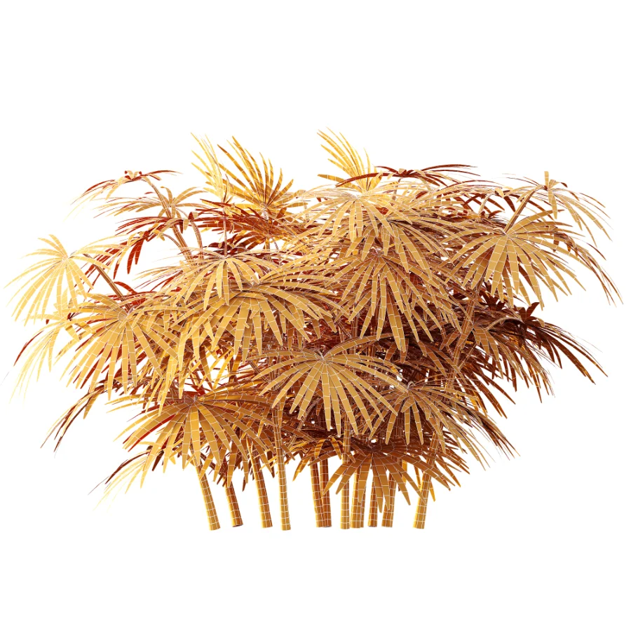 AV Plant Rhapis Excelsa Palm Bush 02 - Image 8