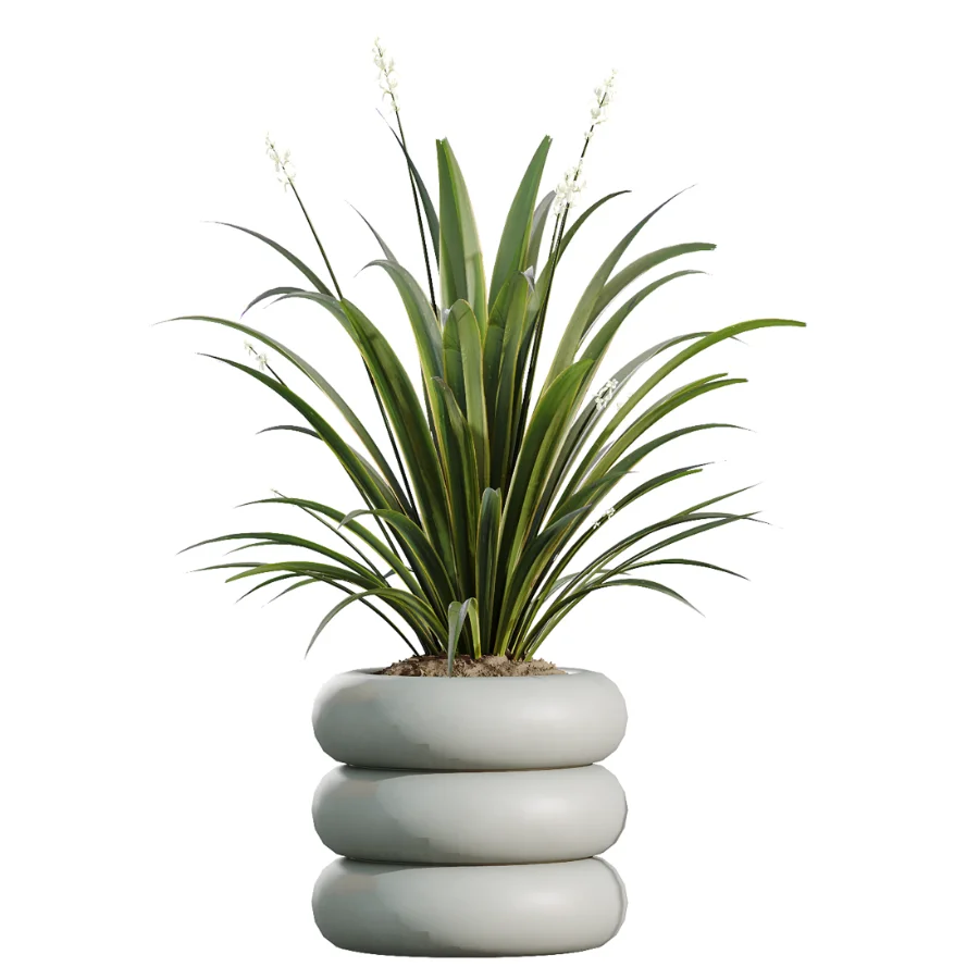 AV Indoor Plants Set 517 Ficus Coconut Palm Ficus Elastica Olive Eucalyptus - Image 5
