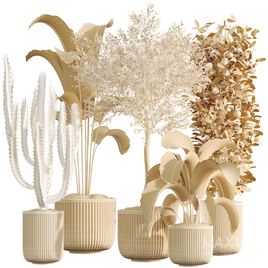 AV Indoor Plants Set 533 ParadiseBird Olive Fruit Bosnai Orange Tree Cactus - Image 8