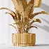 AV Indoor Plants Set 521 Yucca ParadiseBird Ficus Microcarpa Bonsai Marginata - Thumbnail 12