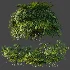 AV Plant Rhapis Excelsa Palm Bush 02 - Thumbnail 7