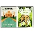 India Frame set - Thumbnail 3