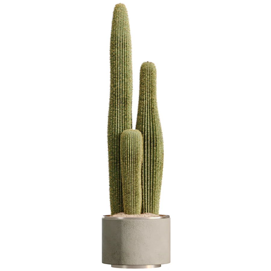AV Indoor Plants Set 512 Olive Orange Tree Banana Cactus Echinocactus Yucca - Image 5