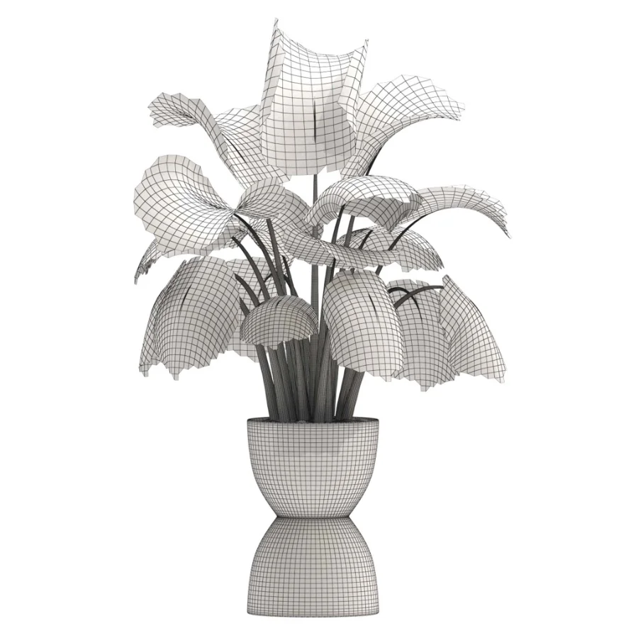 Monstera indoor-Plants-set033 - Image 1