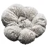 Bean Bag - Thumbnail 3