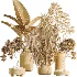 AV Indoor Plants Set 536 Olive Ficus Binnendijkii ParadiseBird Euphorbia - Thumbnail 6