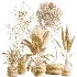 AV Indoor Plants Set 517 Ficus Coconut Palm Ficus Elastica Olive Eucalyptus - Thumbnail 9