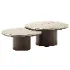 Alexis Duo Coffee Table - Thumbnail 5