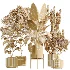 AV Indoor Plants Set 504 Ficus Elastica Olive Ficus lyrata Cactus Euphorbia - Thumbnail 7