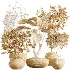 AV Indoor Plants Set 537 Cunjevoi Alocasia Olive Briful Pachira Ficus Marginata - Thumbnail 7