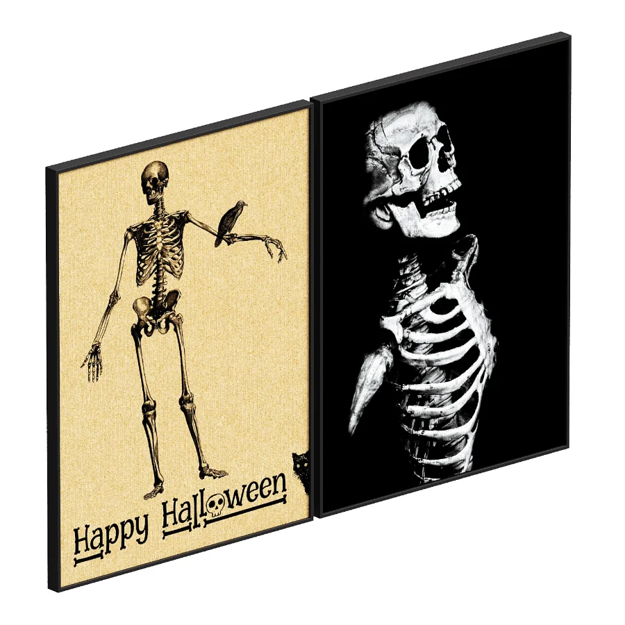 Human Skull set 02 - Image 1